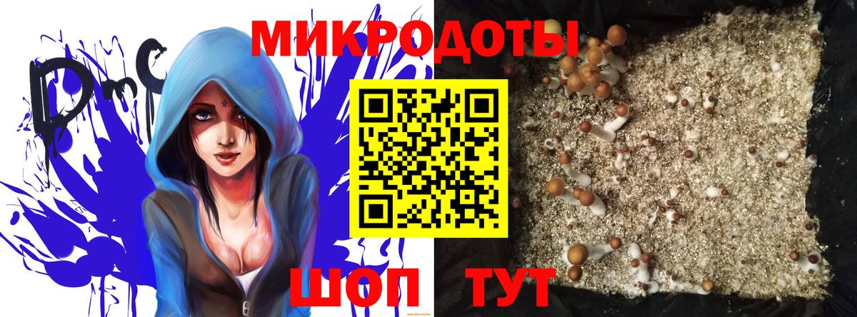 Галлюциногенные грибы прущие грибы  Вход с VPN  Корсаков 